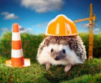 Plan L - Arten- und Naturschutz Lehmann GvR